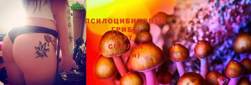 Псилоцибиновые грибы Psilocybine cubensis  МЕГА как зайти  Тетюши 